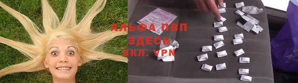 меф Вяземский