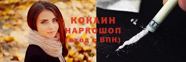 стафф Вязьма