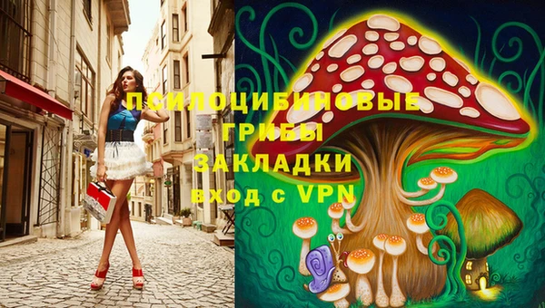 меф Вяземский