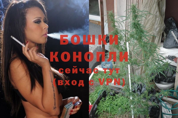 меф Вяземский