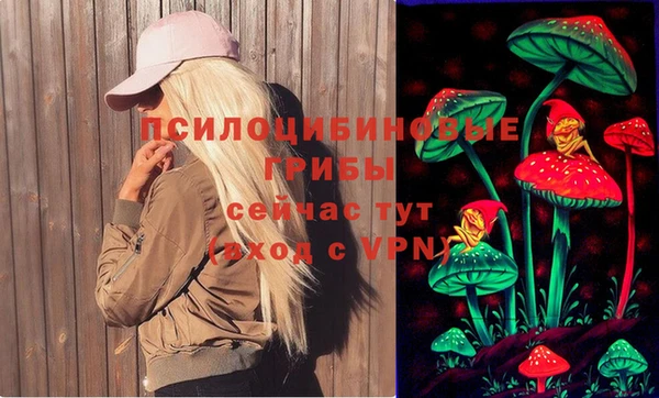 меф Вяземский
