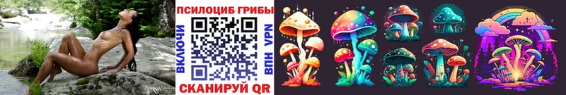 как найти   Арзамас  Псилоцибиновые грибы Cubensis 